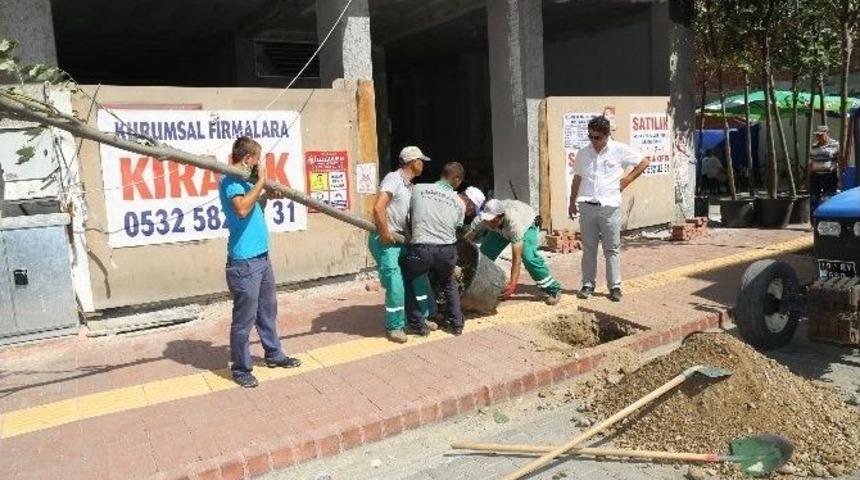 Ali &Ccedil;etinkaya Caddesi Renkleniyor