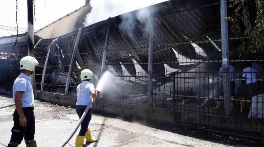 Mersin Halinde &Ccedil;ıkan Yangın Korkuttu
