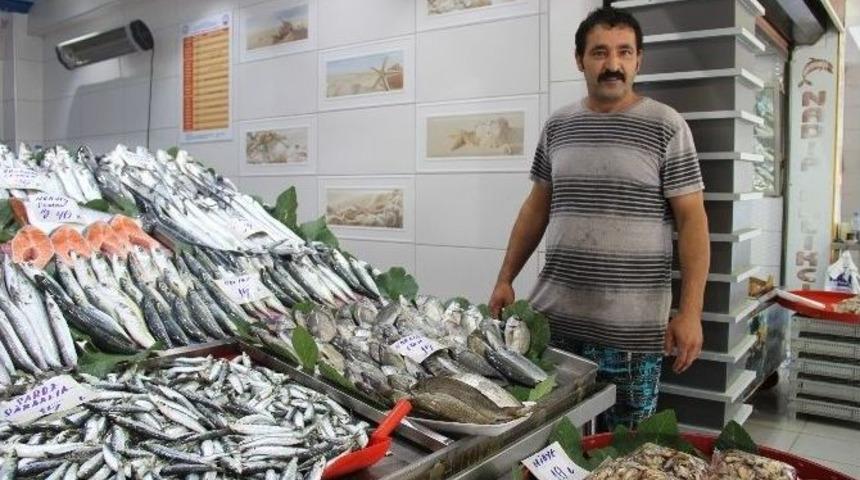 Balıklar El Yakıyor