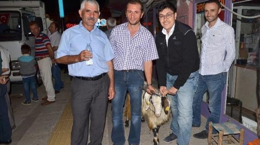 Osmancık&rsquo;ta Ş&uuml;k&uuml;r Kurbanı Kesildi