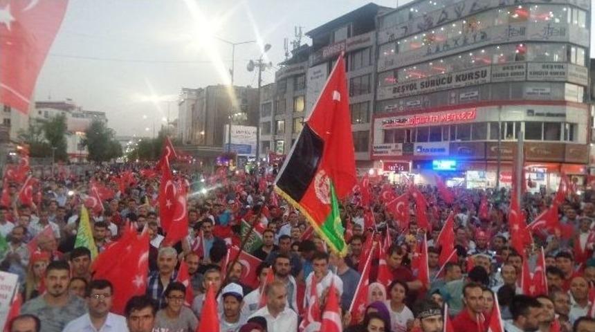 Demokrasi N&ouml;beti 12. G&uuml;n&uuml;nde