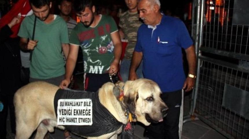 Kayseri&rsquo;de Demokrasi N&ouml;betinin 12. G&uuml;n&uuml;