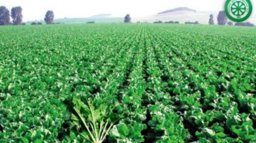 Kayseri Şeker&rsquo;den Pancar &Ccedil;ift&ccedil;isine 34 Milyon Sulama Avansı