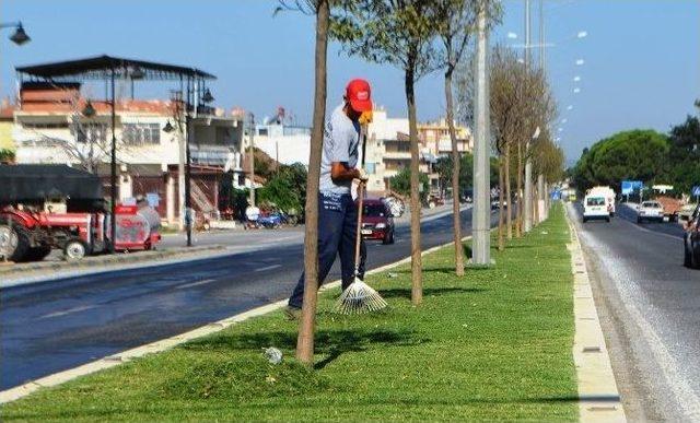 Germencik Belediyesi, Atatürk Caddesi Ve Ortaklar’da Refüj Temizliği Yaptı
