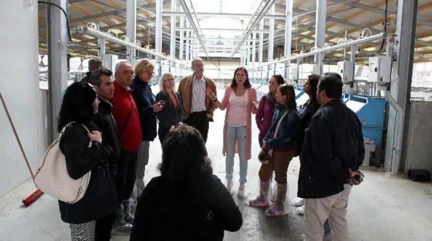 Hollanda&rsquo;da S&uuml;t Toplantısına Katılan Aydın Heyeti Yurda D&ouml;nd&uuml;