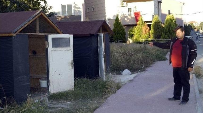 5 Bin Lira Değerindeki G&uuml;vercinleri &Ccedil;aldılar