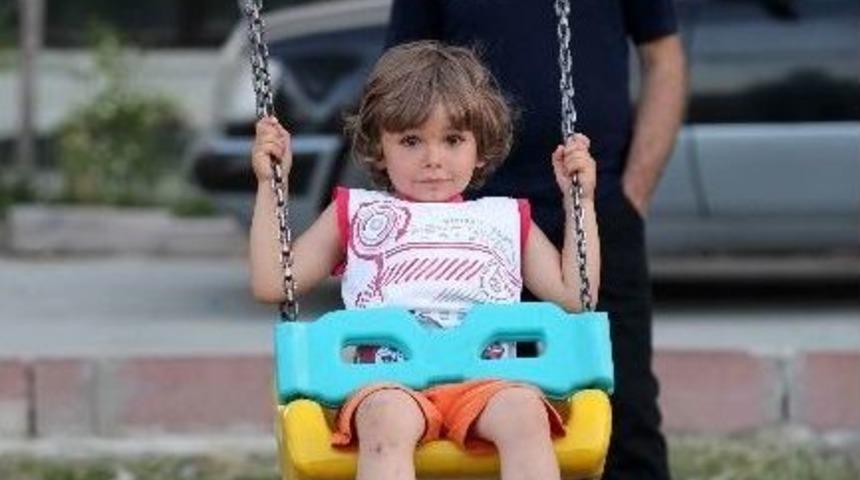 Yaz Sıcaklarında Park Serinliği