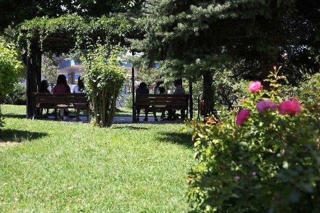 Yaz Sıcaklarında Park Serinliği