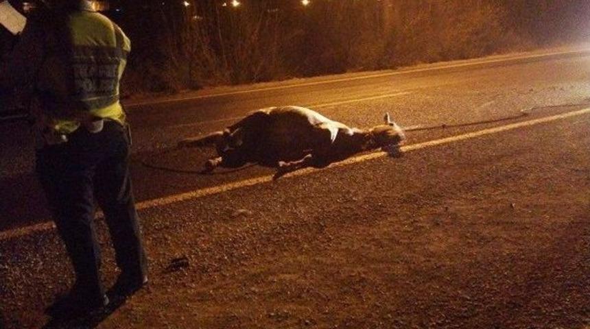 Ata &Ccedil;arpan Motosikletin S&uuml;r&uuml;c&uuml;s&uuml; &Ouml;ld&uuml;