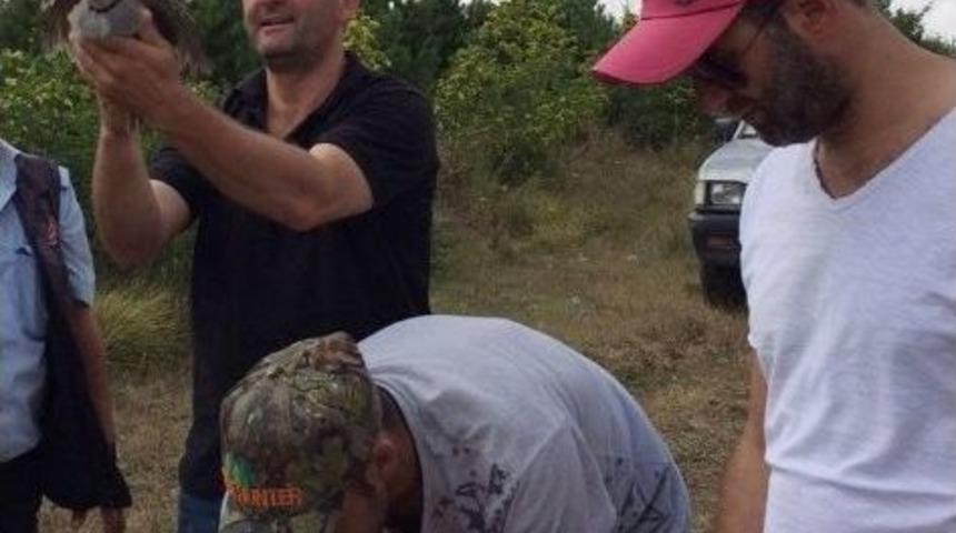 Hayrabolu&rsquo;da Keklikler Doğaya Salındı