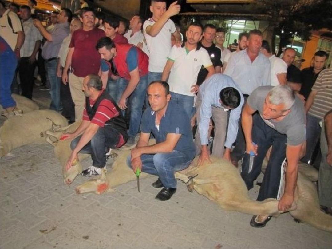 Hisarcık&rsquo;ta 26 Ş&uuml;k&uuml;r Kurbanı Kesildi