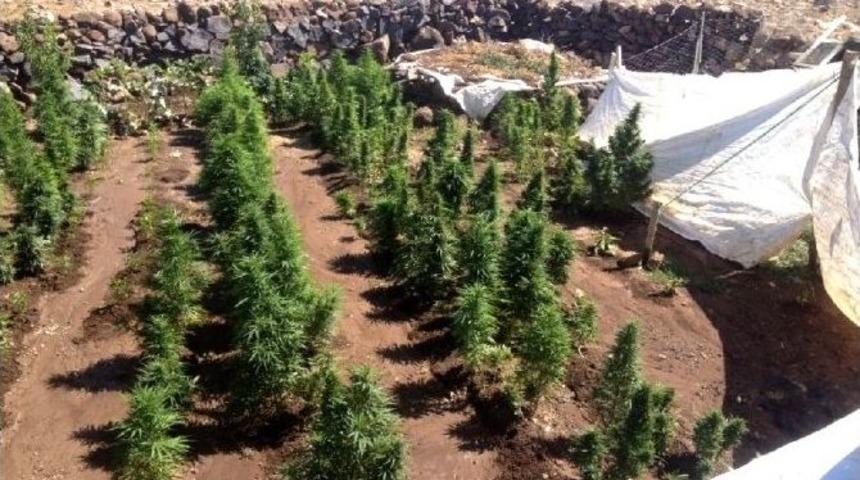 Diyarbakır&rsquo;da Y&uuml;kl&uuml; Miktarda Uyuşturucu Ele Ge&ccedil;irildi