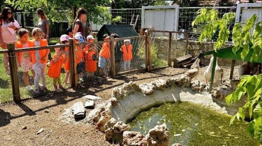 Minik &Ouml;ğrenciler Tepebaşı Belediyesi Doğal Yaşam Merkezi&rsquo;ni Ziyaret Etti