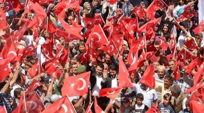 Seyitgazi Tek Y&uuml;rek