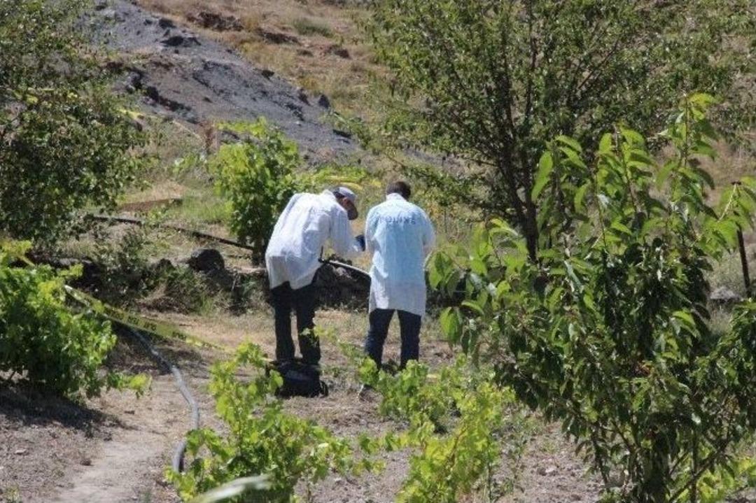 Baba Ve Oğlu Toprak Kavgasında &Ouml;ld&uuml;r&uuml;ld&uuml;