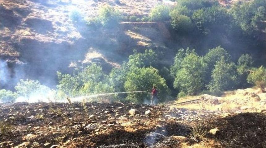 Çalılık Yangını Ağaçlara Sıçramadan Söndürüldü