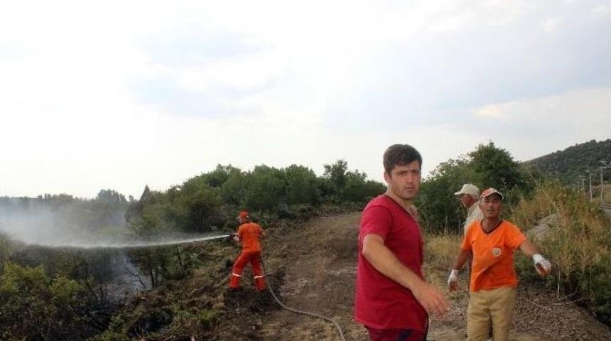 Tavşanlı&rsquo;da Orman Yangını Kontrol Altına Alındı