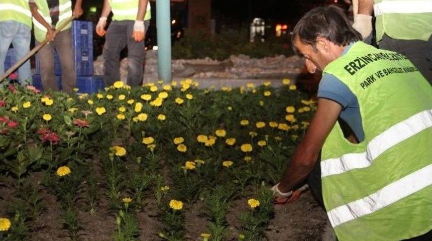 Binlerce &Ccedil;i&ccedil;ek Toprakla Buluştu