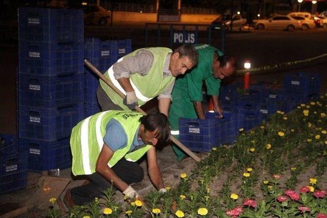 Binlerce Çiçek Toprakla Buluştu