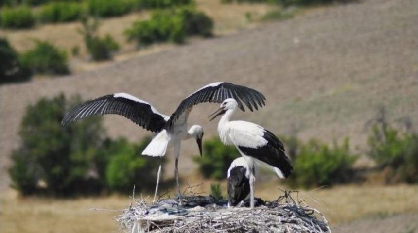 Ato&rsquo;dan Kızılcahamam&rsquo;a Tanıtım Gezisi