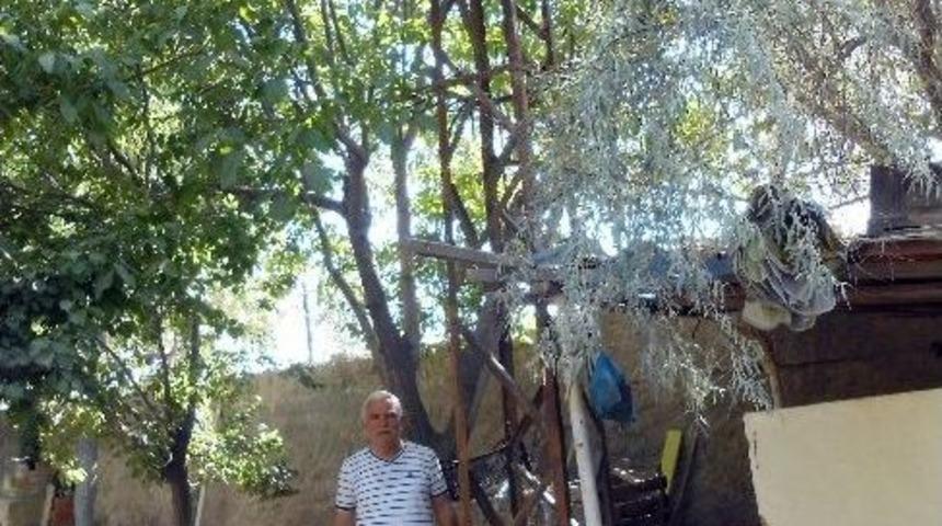 Elektrik Direğinin Tapulu Bah&ccedil;esinden Kaldırılmasını İstiyor