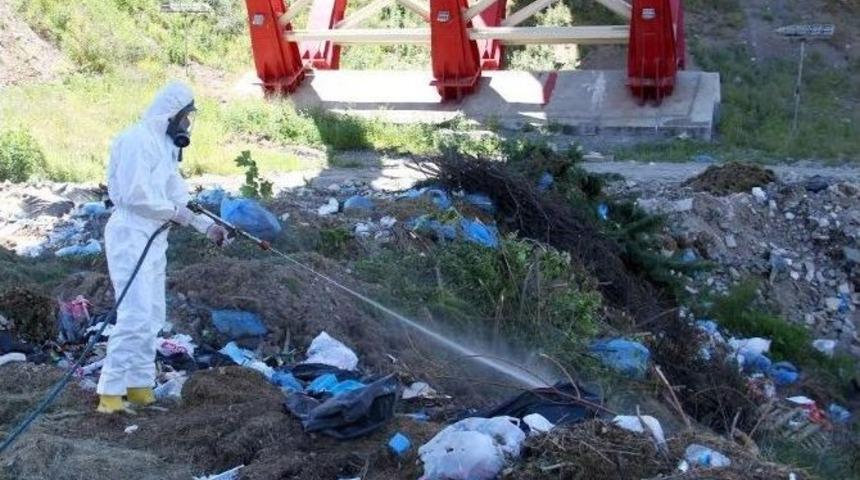 Haşereyle M&uuml;cadeleye Devam