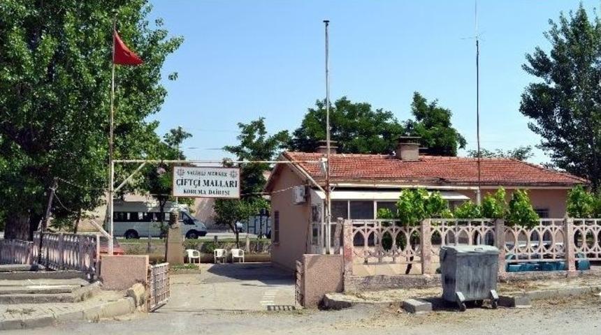 Salihli &Ccedil;ift&ccedil;i Malları&rsquo;nda İstifa Şoku