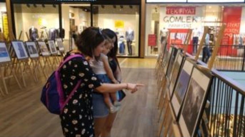 Hayvan Haklarını &Ccedil;ektikleri Fotoğraflarla Anlattılar