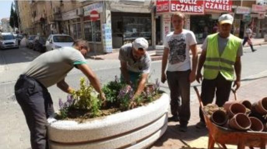 Burhaniye&rsquo;de Caddelere &Ccedil;i&ccedil;ek G&uuml;zelliği