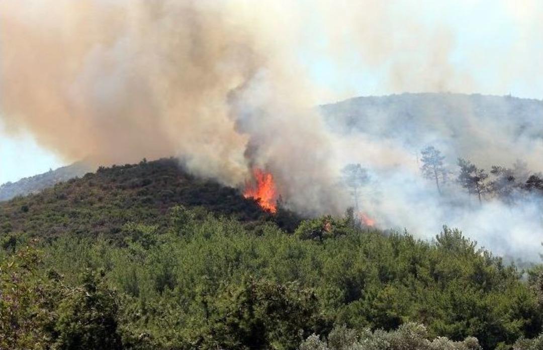 Bodrum&rsquo;da Korkutan Yangın