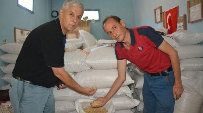 Latmos&rsquo;tan Avrupa&rsquo;ya K&uuml;nar