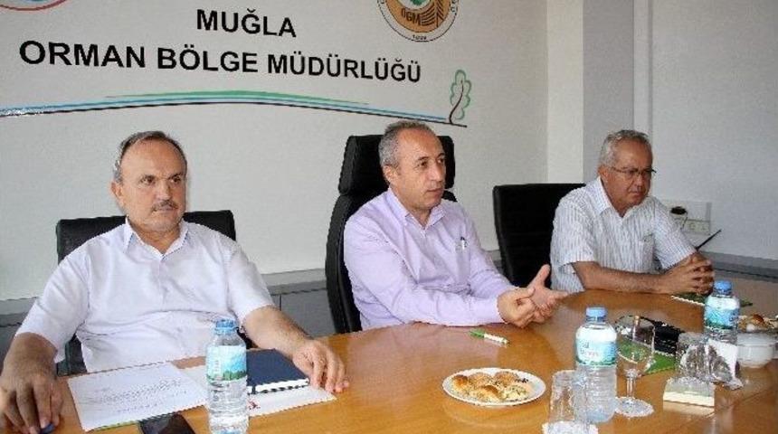 Basralı Alanlar Genişletiliyor