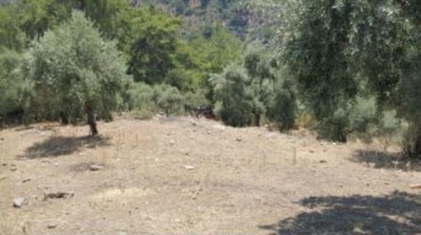 Milas&rsquo;ta Ş&uuml;pheli &Ouml;l&uuml;m