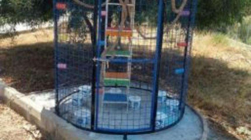 Anamur&rsquo;da Kedilere Ev