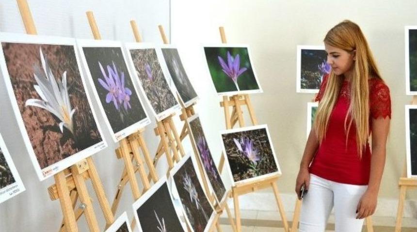 &ldquo;antalya&rsquo;nın &Ccedil;iğdemleri&rdquo; Konyaaltı&rsquo;nda A&ccedil;tı