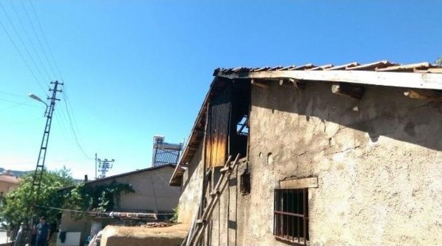 Ahırda &Ccedil;ıkan Yangında Bir İnek Telef Oldu
