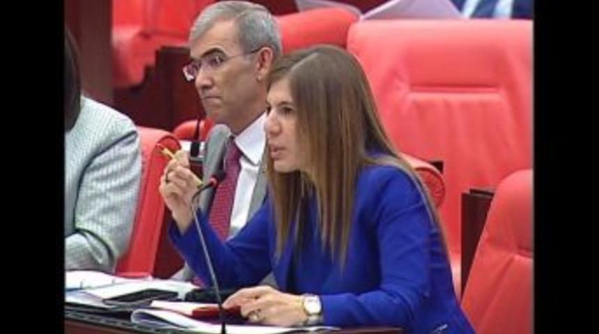 İnceöz’den Batı Basınına Tepki