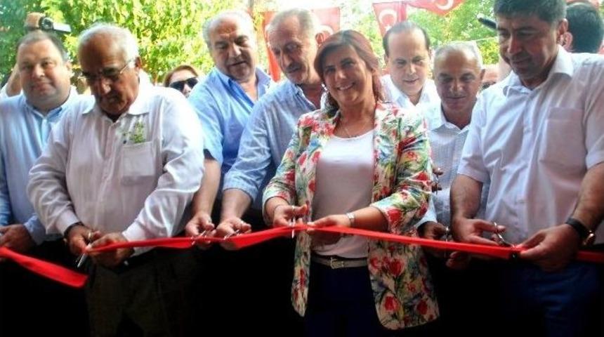 Demokrasi Şehidi Menderes, Memleketinde &Ouml;l&uuml;ms&uuml;zleştirildi