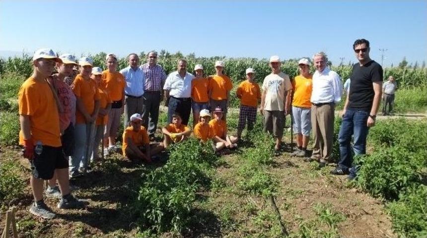 Belediyenin Kampı &Ouml;ğrencileri Toprakla Tanıştırdı