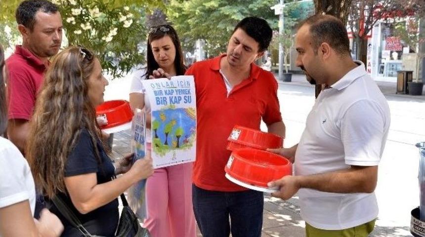 Hayvan Dostu Esnafa Tepebaşı Desteği