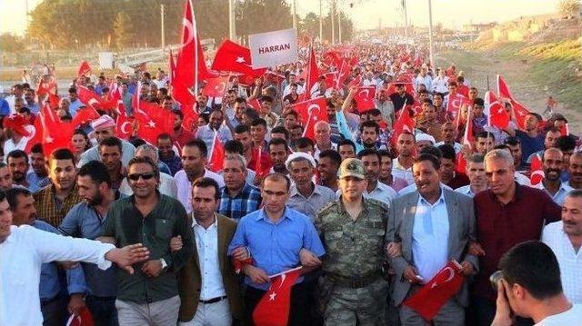 Harran’da Asker, Polis Ve Halk 30 Metrelik Türk Bayrağıyla Yürüyüş Yaptı