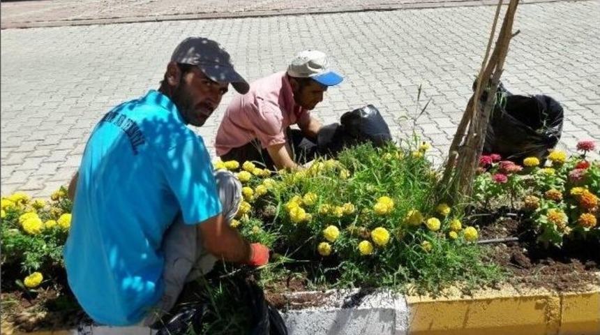 G&ouml;lbaşı İl&ccedil;esinde Peyzaj &Ccedil;alışmaları Devam Ediyor