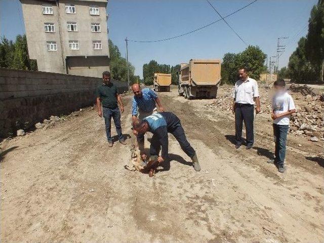 Malazgirt Belediyesi Çalışmalarına Kurban Keserek Başladı