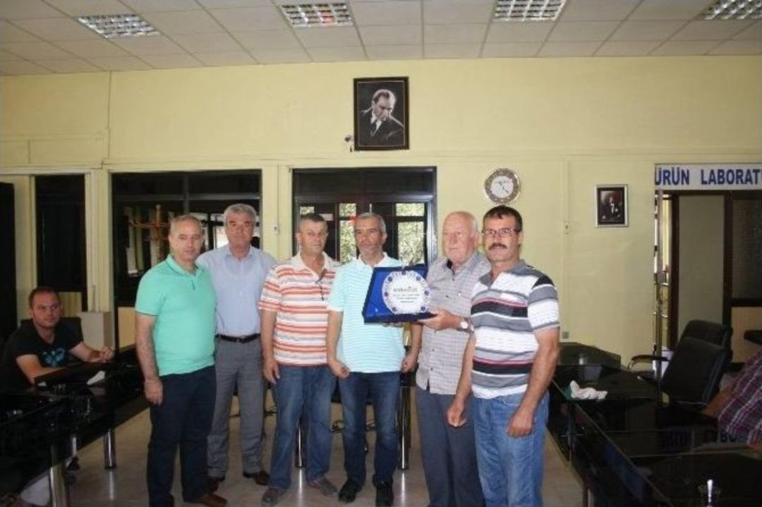 İlk Ay&ccedil;i&ccedil;eği, 2.60 Tl&rsquo;den Satıldı