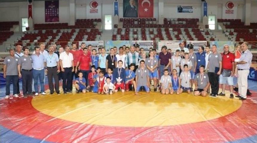 Yalova&rsquo;da G&uuml;reş Ş&ouml;leni