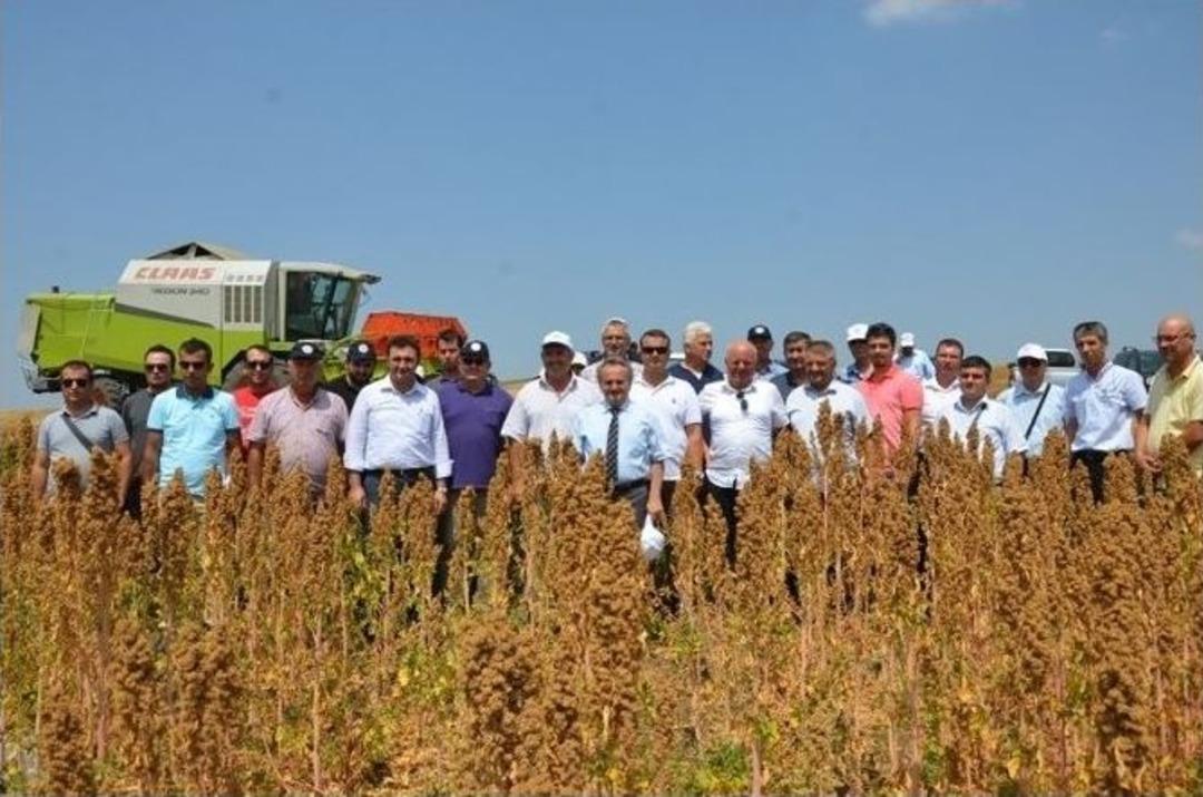 Astronot Gıdasının İlk Hasadı Yapıldı