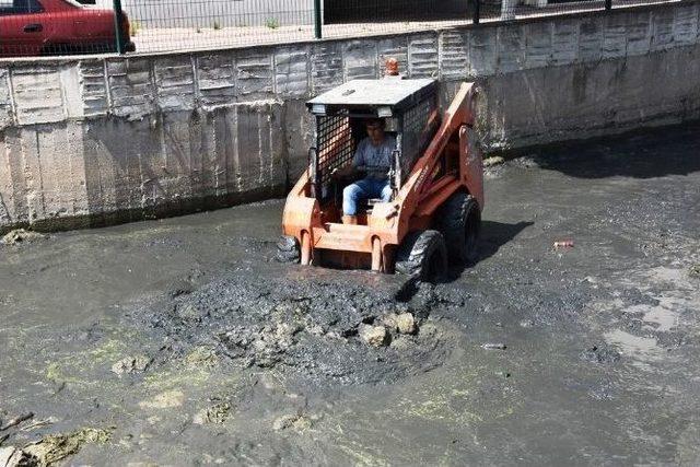 Süleymanpaşa Belediyesi Değirmenaltı Deresini Temizliyor