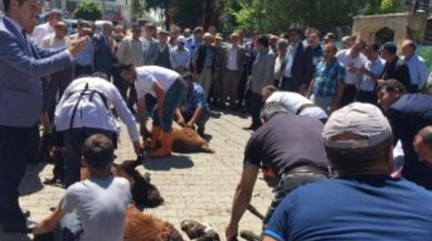 Horasan&rsquo;da 20 Ş&uuml;k&uuml;r Kurbanı Kesildi