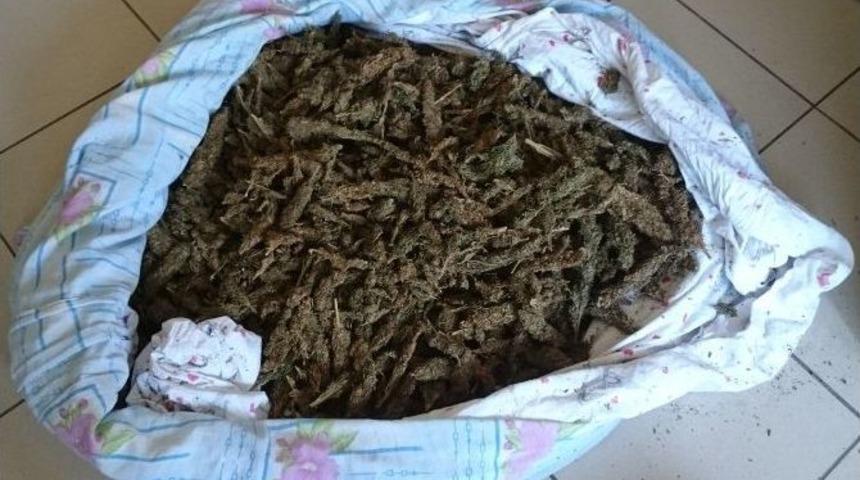 Uyuşturucu Taciri Yakalandı