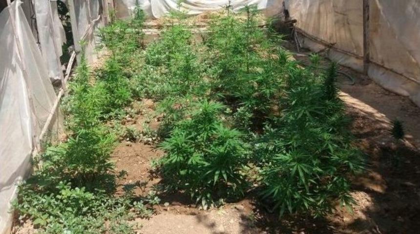 Milas&rsquo;ta Seradan Uyuşturucu &Ccedil;ıktı